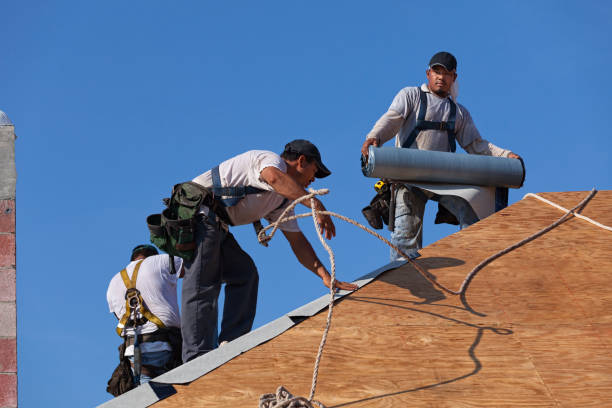 Best Roof Gutter Cleaning  in Prices Fork, VA